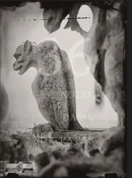 Tomas Van Houtryve: 36 Views of Notre Dame, Hardback/***