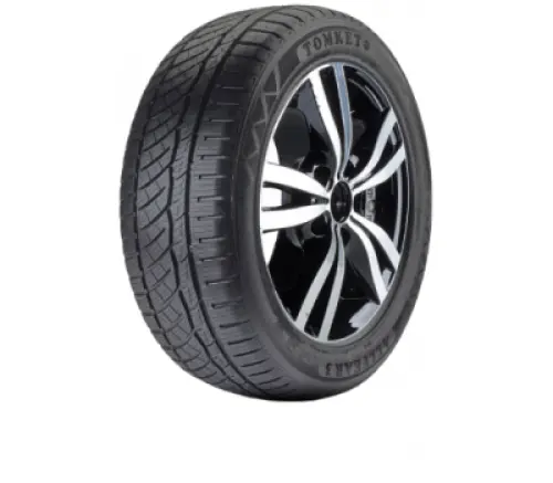 TOMKET ALLYEAR 3 195/65R15 95V