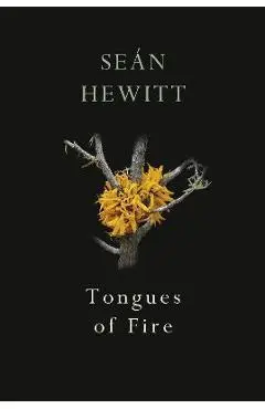 Tongues of Fire - Se�n Hewitt