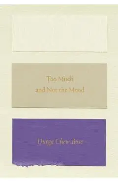 Too Much and Not the Mood: Essays - Durga Chew-bose