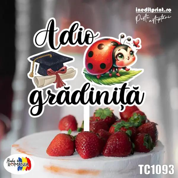Topper Tort UV Adio gradinita TC1093 10x10cm, MDF
