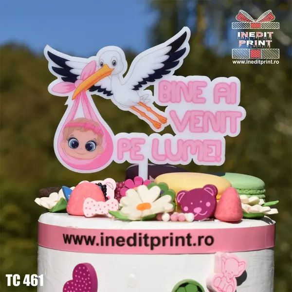 Topper Tort UV Bine ai venit pe lume TC461 10x10cm, MDF