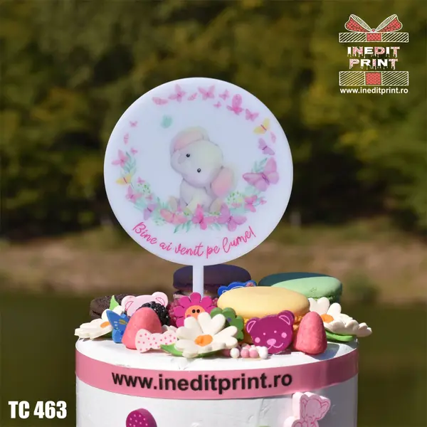 Topper Tort UV Bine ai venit pe lume TC463 10x10cm, Plexiglass alb