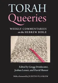 Torah Queeries: Weekly Commentaries on the Hebrew Bible, Paperback/Gregg Drinkwater