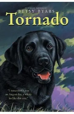 Tornado - Betsy Cromer Byars