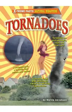 Tornadoes - Marcia Abramson