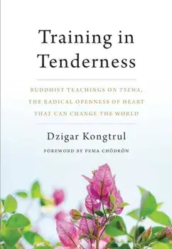 Training in Tenderness: Buddhist Teachings on Tsewa, the Radical Openness of Heart That Can Change the World, Paperback/Dzigar Kongtrul