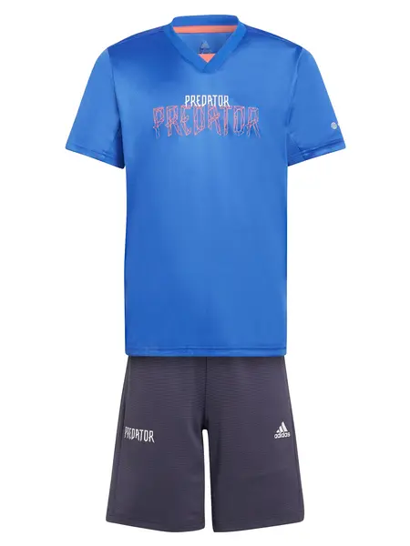 Trening Predator