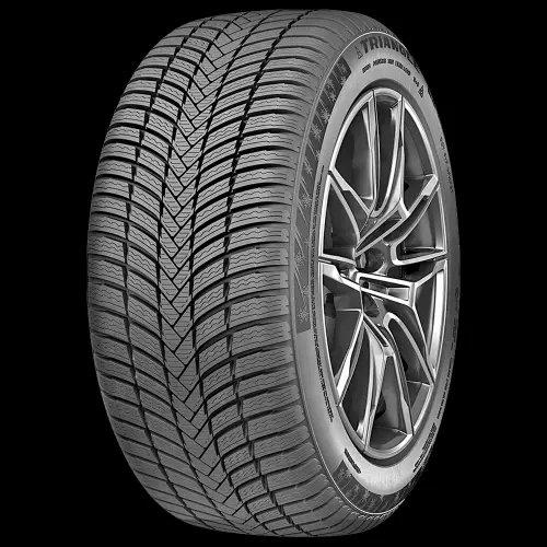 TRIANGLE EffeXWinter TW421 255/55R19 111V