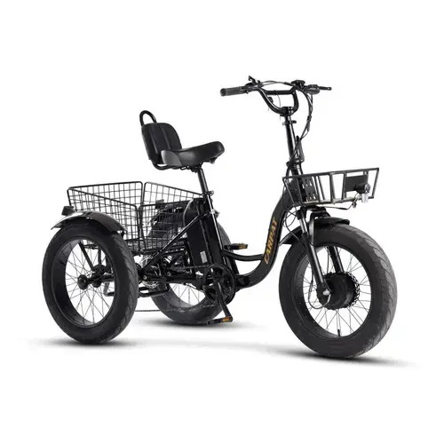 Tricicleta Electrica 20inch Carpat 226C20561E93, Motor 250W, Baterie 48V 14.5Ah, 7 Viteze, Cosuri Fata/Spate Incluse, autonomie 40-50km, Negru