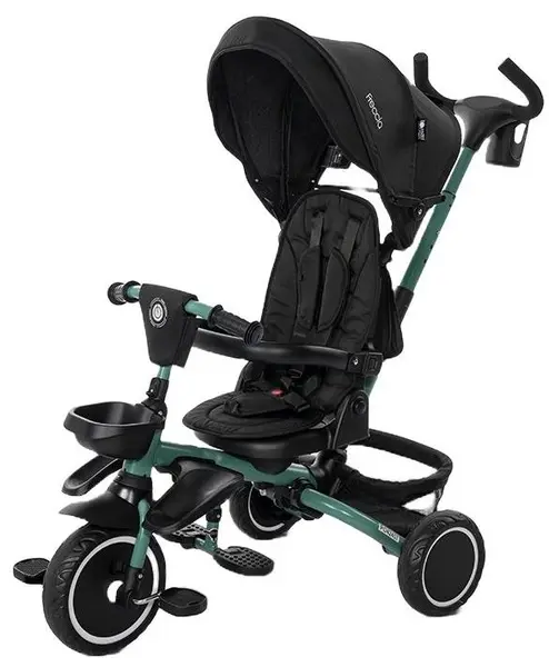 Tricicletă pliabilă cu rotație Lorelli - Freccia, Black/Green