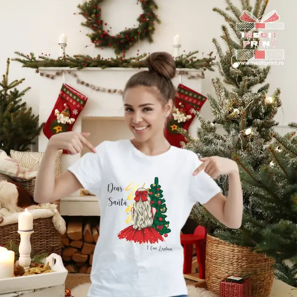 Tricou Dear Santa...I can Explain TP170 -