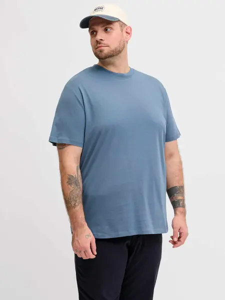 Tricou Jjebradley Ss Noos Pls
