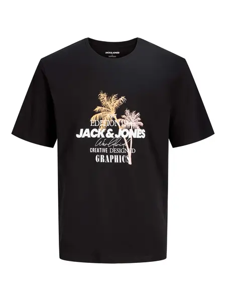 Tricou Jjgradient Print Ss Crew Neck Pls