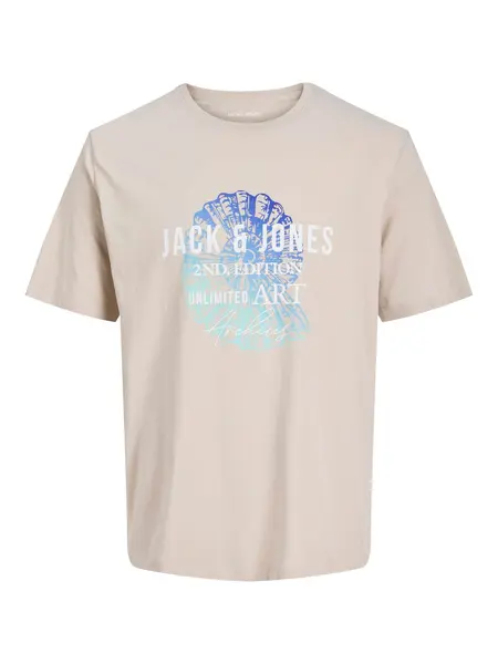Tricou Jjgradient Print Ss Crew Neck Pls
