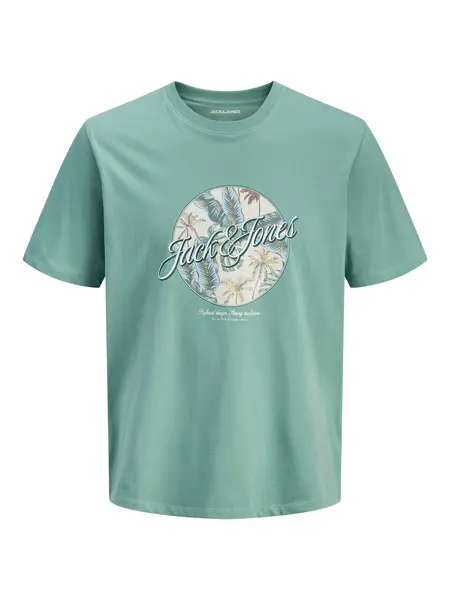 Tricou Jjhonolulu Shape Ss Crew Neck