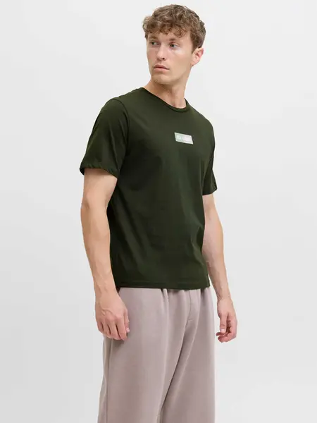 Tricou Jjpan Ss Crew Neck