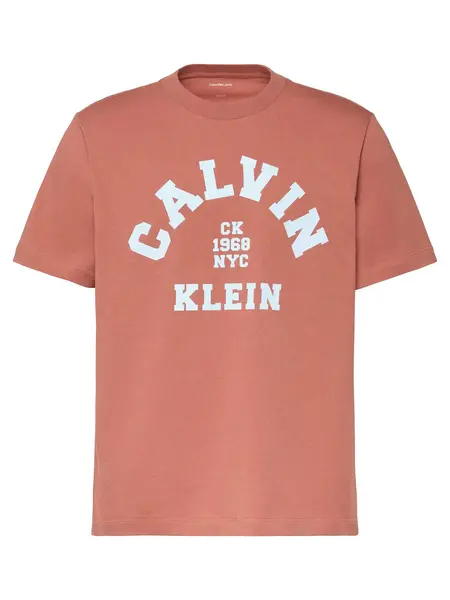 Tricou Ss 20s Ln Calvin College Graph