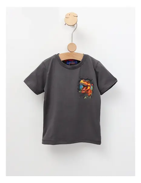 Tricou Tiranozaur REX, model gri-inchis