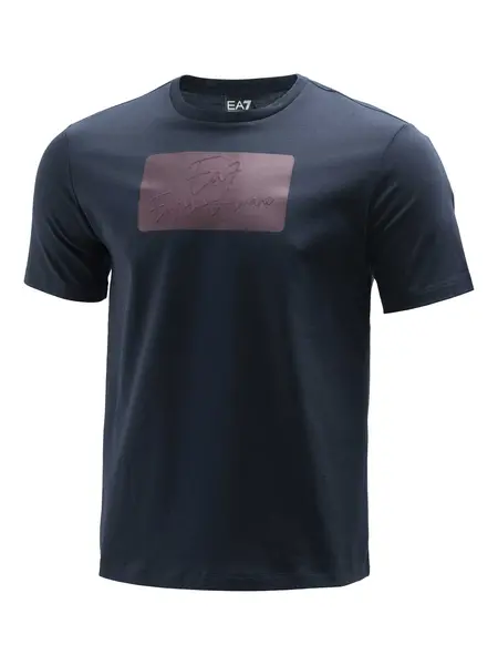 Tricou Train Logo Series W Ss Max