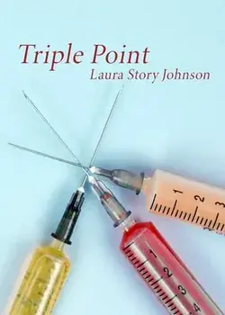 Triple Point, Paperback/Laura Story Johnson