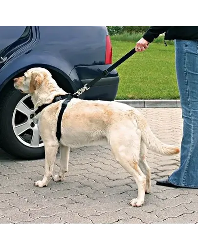 TRIXIE Ham de mașină pentru câini L