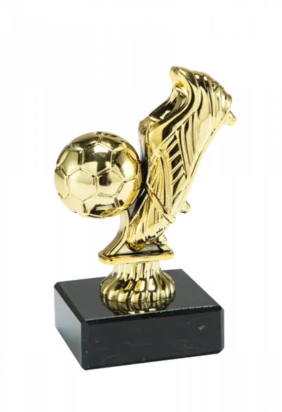 Trofeu MS55, Gheata Fotbal