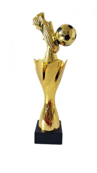 Trofeu MS93 - Gheata Fotbal