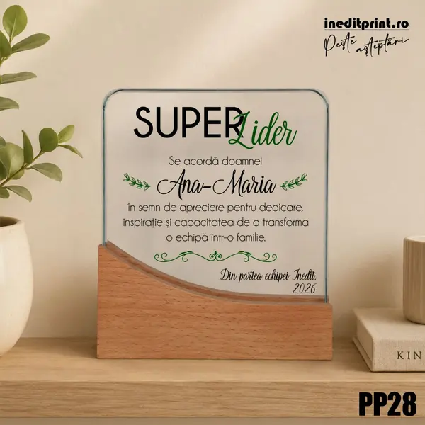 Trofeu personalizat Lider PP28