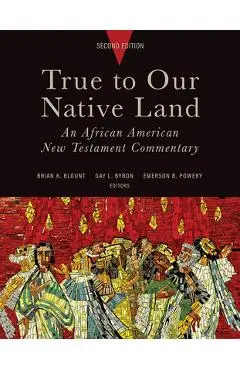 True to Our Native Land, Second Edition: An African American New Testament Commentary - Brian K. Blount
