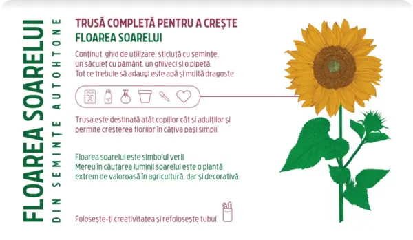 Trusa completa pentru a creste - Floarea soarelui | Monora