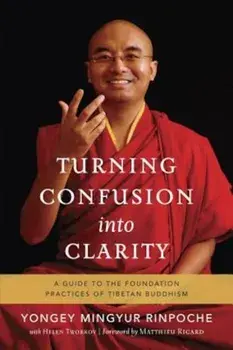 Turning Confusion Into Clarity: A Guide to the Foundation Practices of Tibetan Buddhism, Paperback/Yongey Mingyur