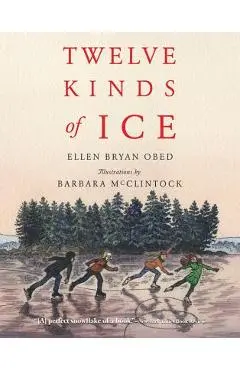 Twelve Kinds of Ice - Ellen Bryan Obed