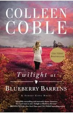 Twilight at Blueberry Barrens - Colleen Coble