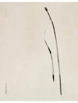 Txema Yeste: Needles, Paperback/***