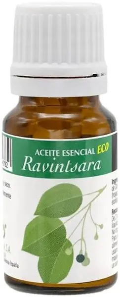 Ulei esențial de arbore de camfor, 10 ml, Artesania Agricola