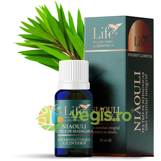 Ulei Esential Integral de Niaouli pentru Uz Intern 10ml