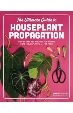 Ultimate Guide to Houseplant Propagation - Lindsay Sisti