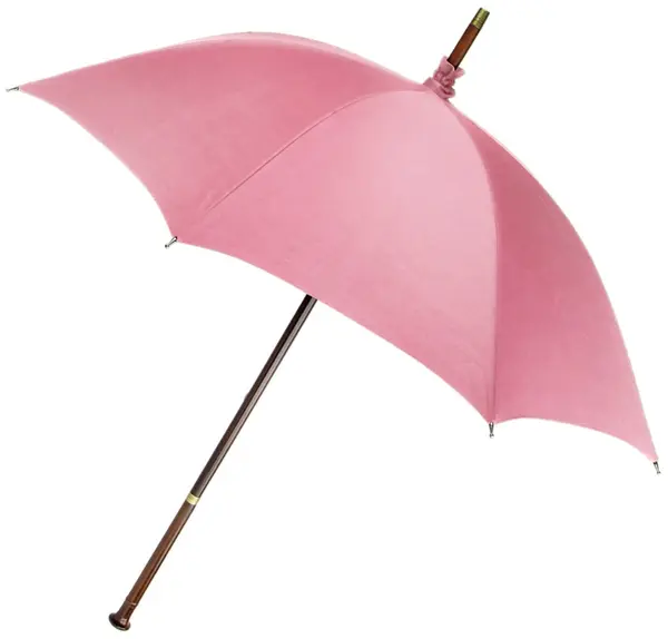 Umbrela baghetă magică The Noble Collection Movies: Harry Potter - Rubeus Hagrid Umbrella Wand
