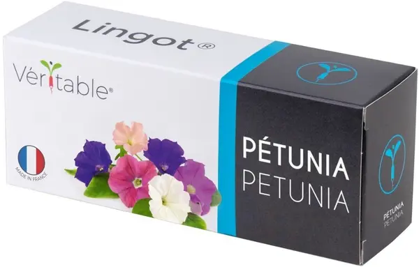 Umplutură sol Veritable - Lingot, Petunie comestibilă, fără OMG