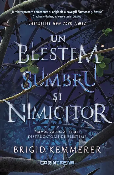 Un blestem sumbru și nimicitor (vol.1 din seria Distrugătorii de blesteme)