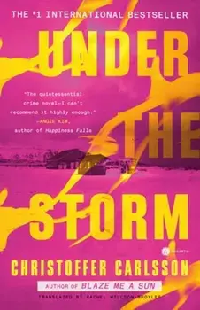 Under the Storm, Paperback/Rachel Willson-Broyles