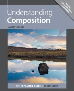 Understanding Composition, Paperback/David Taylor
