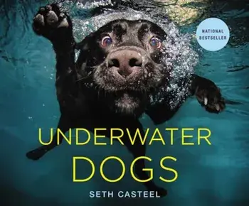 Underwater Dogs, Hardcover/Seth Casteel