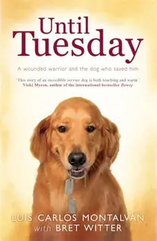 Until Tuesday, Paperback/Bret Witter