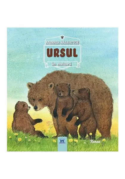 URSUL- Animale salbatice în natura