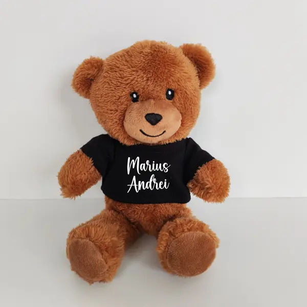 Ursulet Teddy Negru