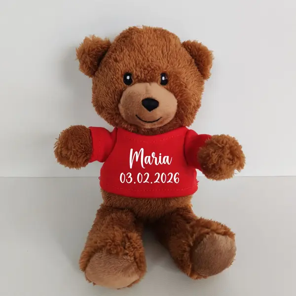Ursulet Teddy Rosu