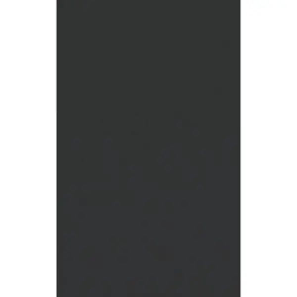 Ușă 45/66/1,6 cm