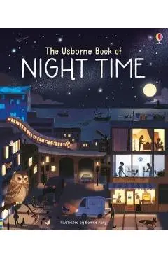 Usborne Book of Night Time